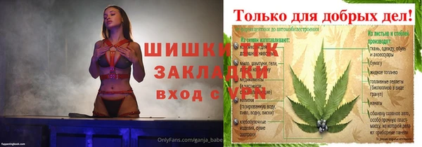 apvp Белокуриха