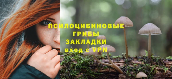 дмт Балахна
